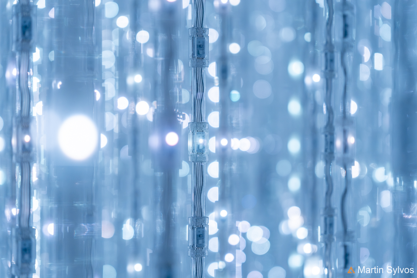 2025 Japon martin sylvos 49